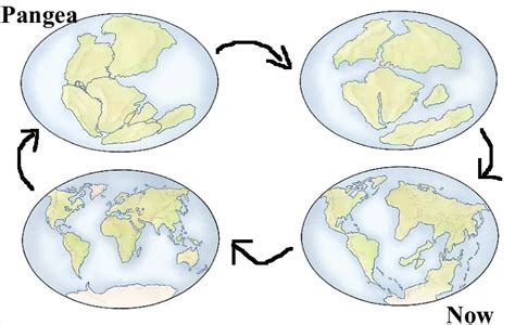 the continental dsrip|Continental drift .